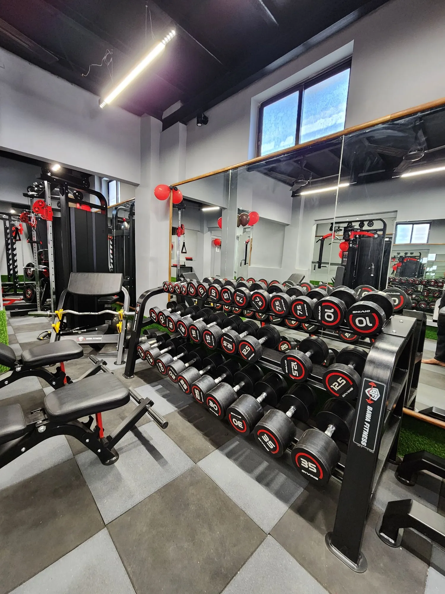 Free Weights