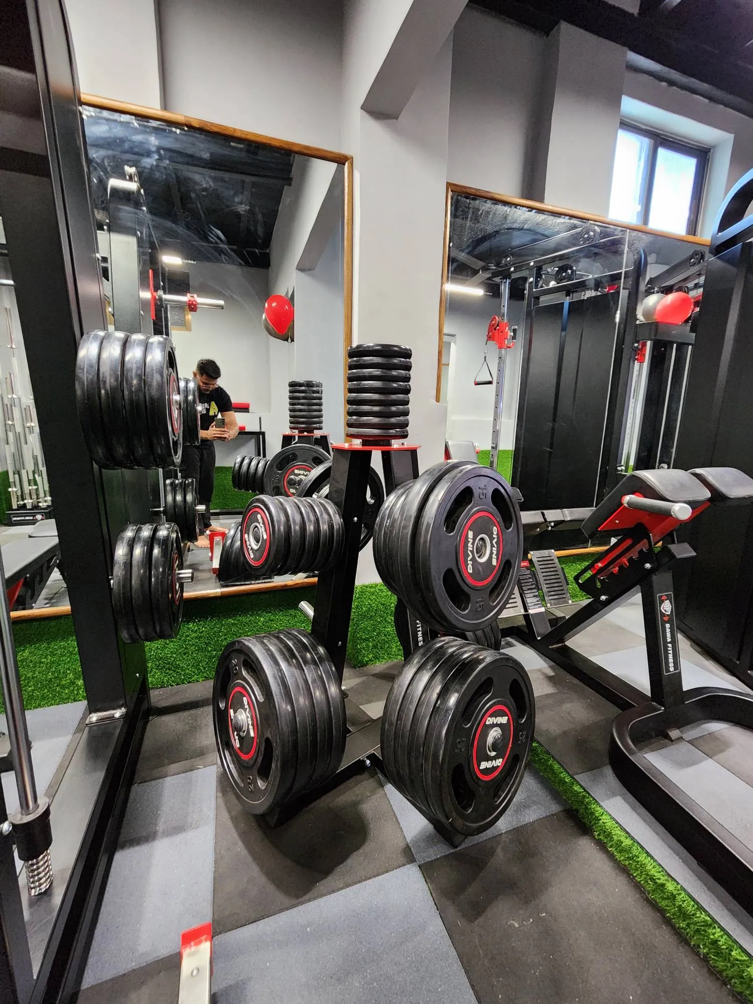 Divine Olympic weight plates